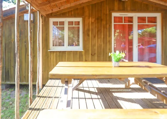 Bois Equipe 35 M2 2 Terrasse Couverte Place Parking Piscine Collective 4 Personnes Horská chata