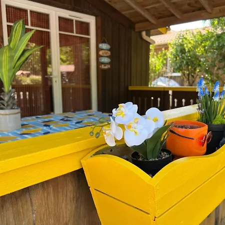 Σαλέ Bois Equipe 35 M2 2 Terrasse Couverte Place Parking Piscine Collective 4 Personnes Ares