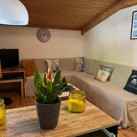 Bois Equipe 35 M2 2 Terrasse Couverte Place Parking Piscine Collective 4 Personnes Ares